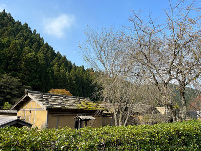 Ichijodani Restored Townscape