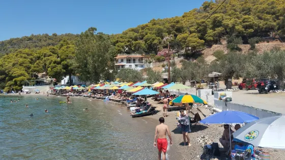 Monastery Beach