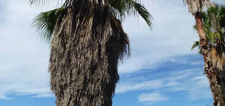 Things to do in Indian Rocks Beach - Trip.com