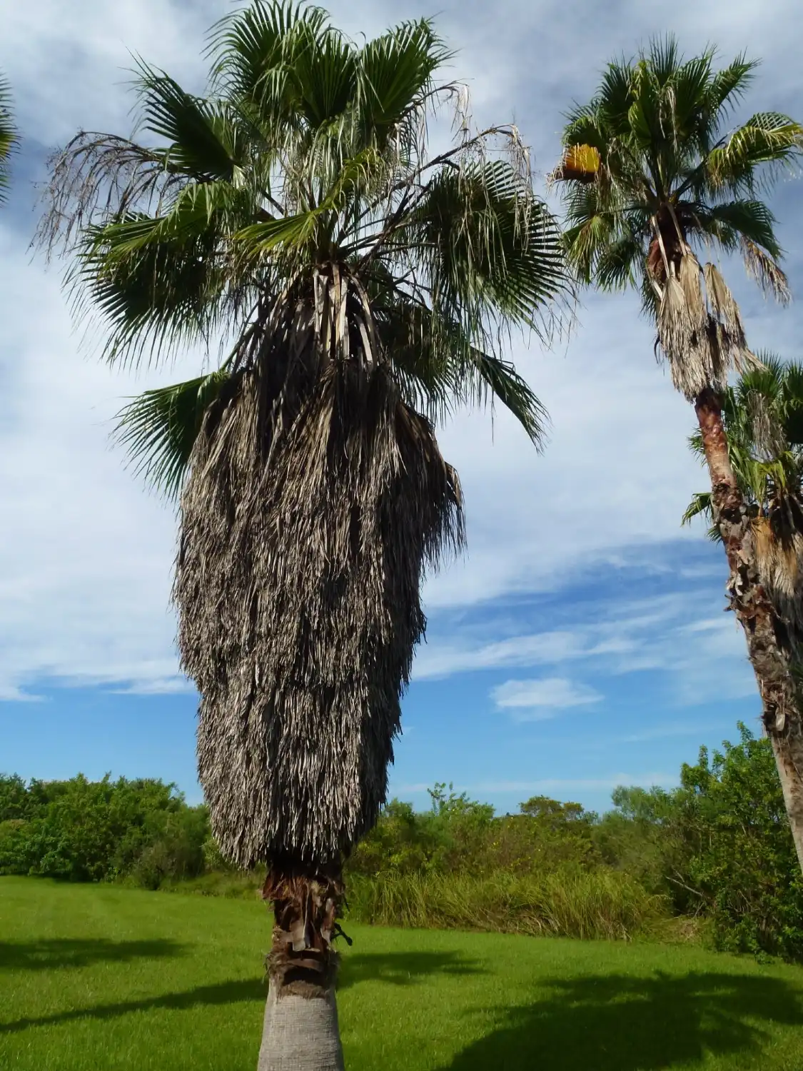 Hotels near John R. Bonner Nature Park