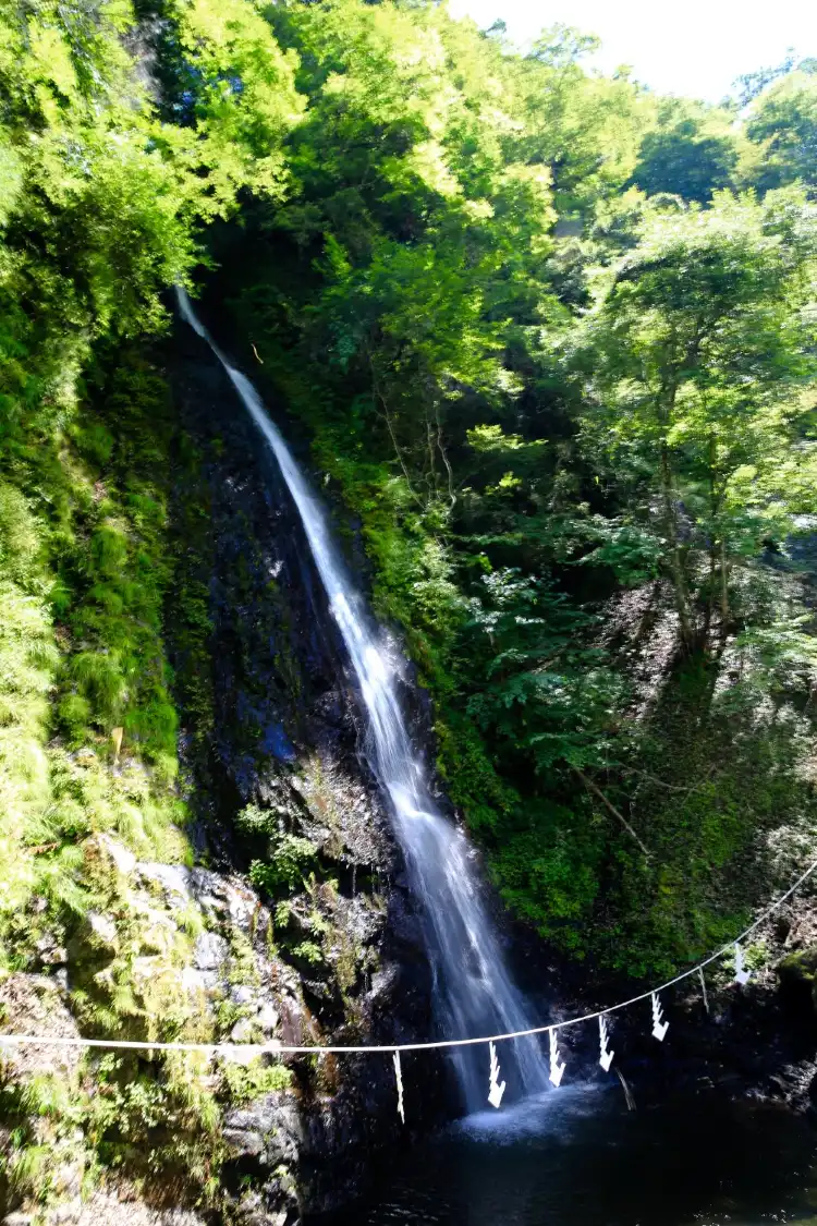 Hotels in Hayakawa