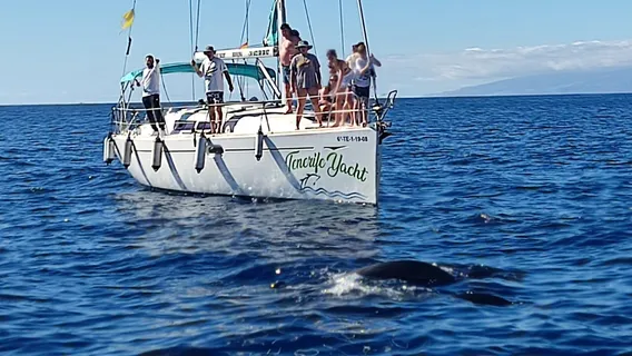 Kailani Whale Watching