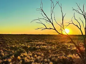 Arid Recovery