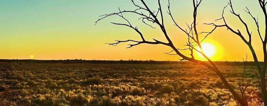 Arid Recovery
