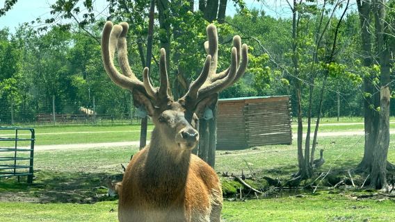 Aikman Wildlife Adventure