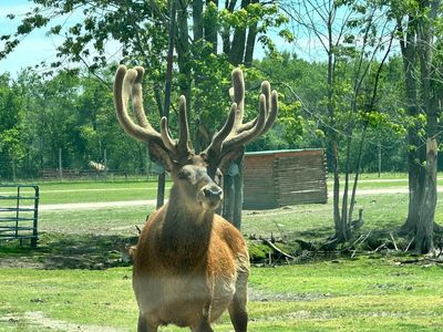 Aikman Wildlife Adventure