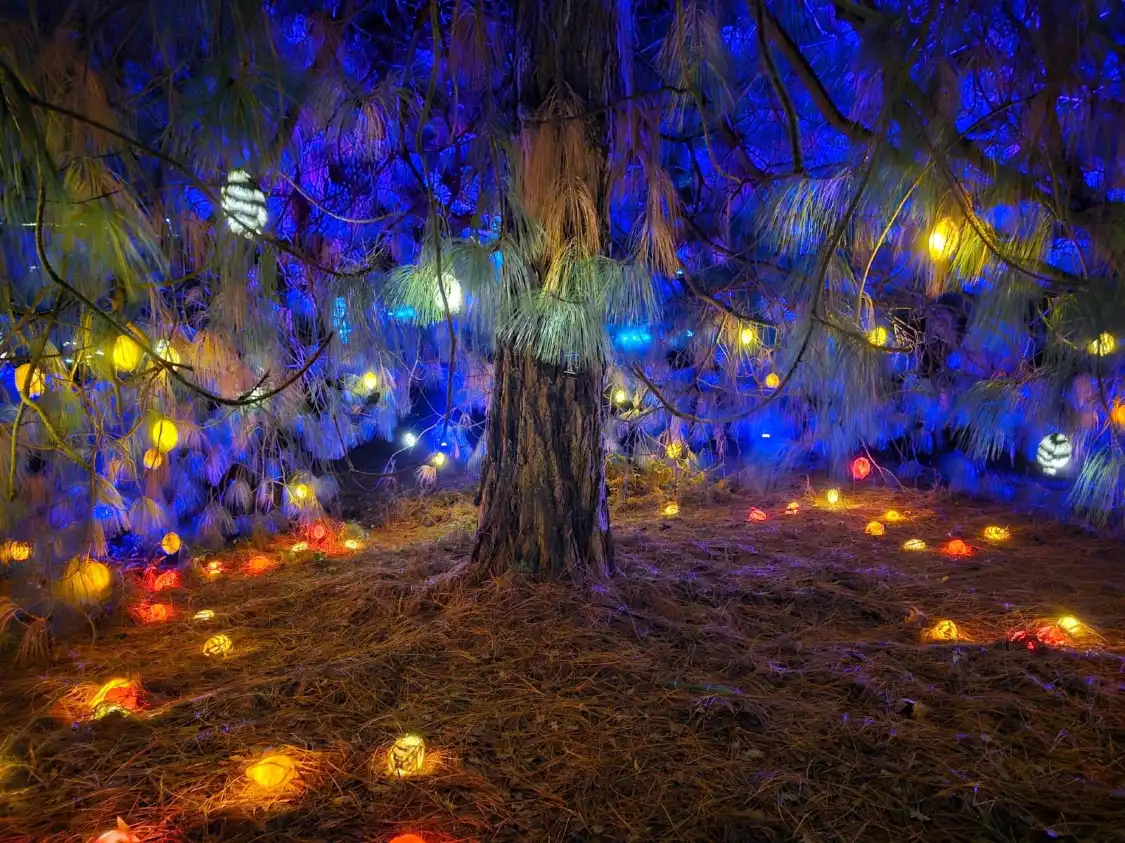Отели рядом с достопримечательностью «Leonardslee Gardens»