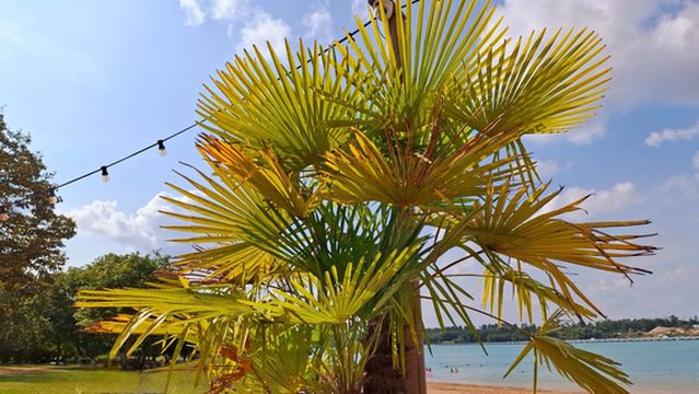 Badesee Äußeres Fischwasser/Philippsee Langenbrücken