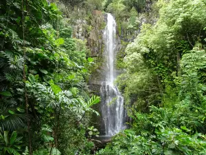Wailua Falls