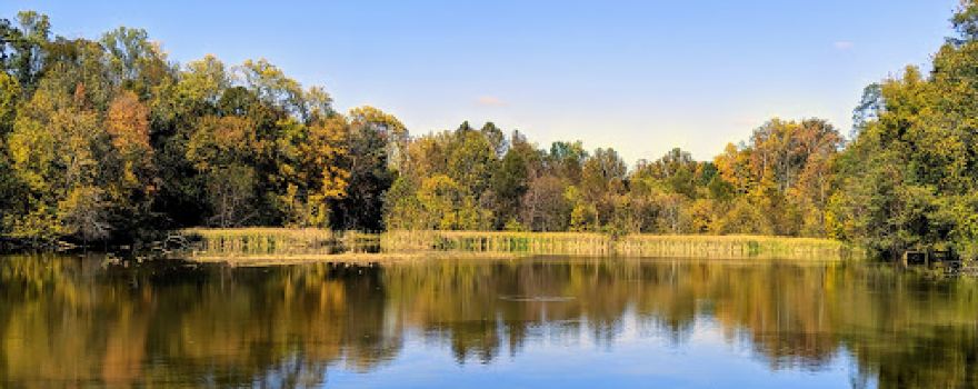 Putney's Pond and Woodlands Park