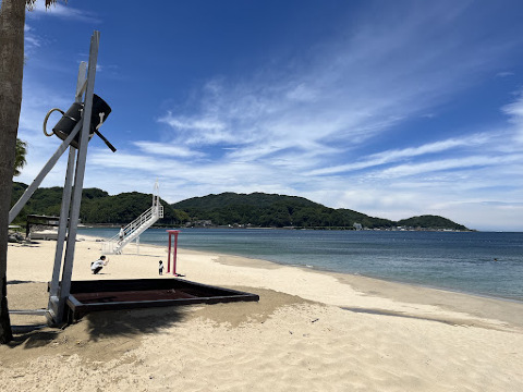 幸運をもたらす『奇跡の流木』🌲 | Trip.com 福岡