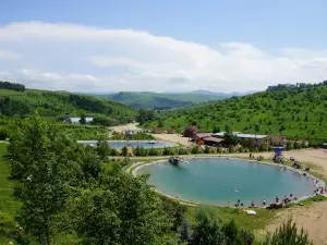 Altayskoye Kholmogor'ye
