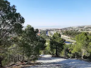 Mehmet Akif Ersoy Urban Forest