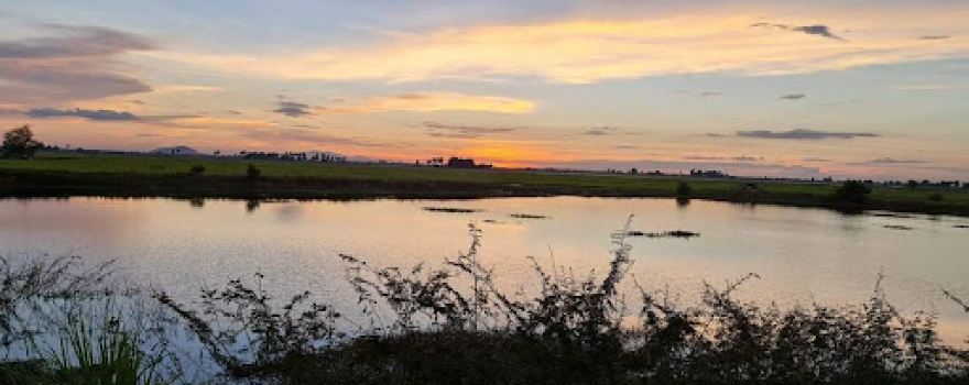 រការឈូក (Rokar-Chhouk)