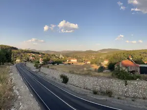 Salkım