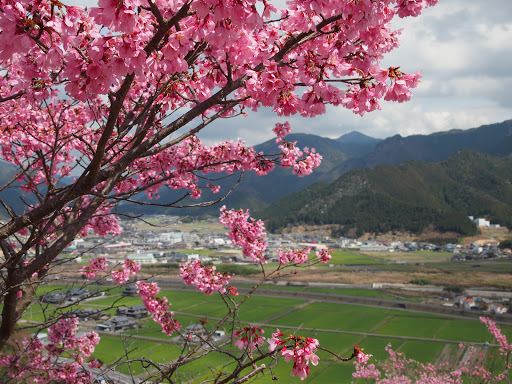Kamikawa Sakura Mountain Ouka-En