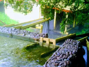 mill Kolodiazhne