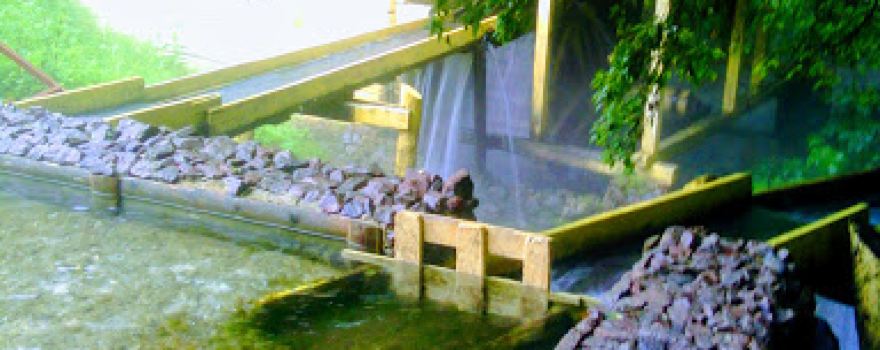 mill Kolodiazhne