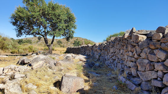 Quinta do Maral - naturist camping