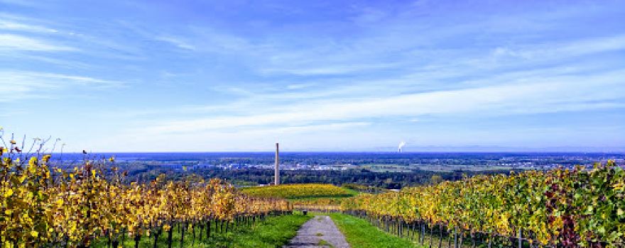 Altenbachtal und Galgenberg
