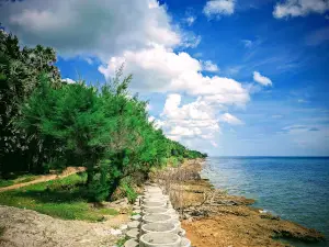 Pantai Cemara Indah