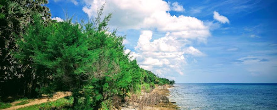 Pantai Cemara Indah