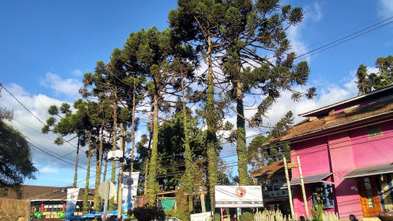 Monte Verde