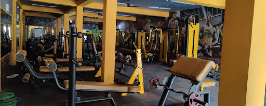 ROYAL GYM