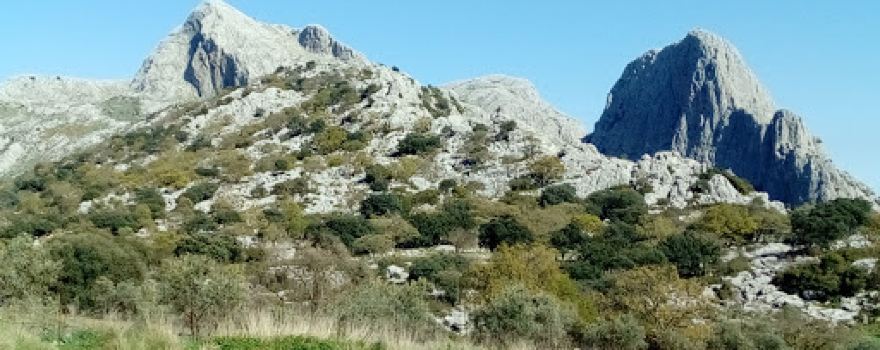 Yeguada El Potril