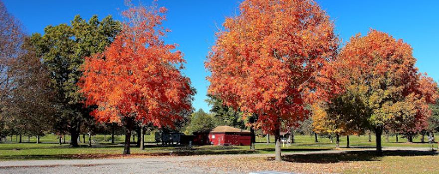 Riverview Park
