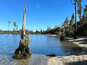 Iveagh Bay Campground