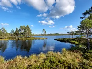 Kauhaneva-Pohjakangas-Nationalpark