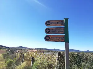 Sports Unit Tapalpa