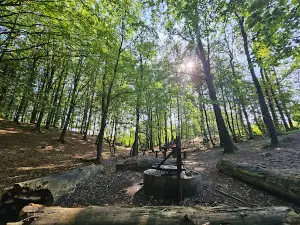 Vild Emil af Thomas Dambo