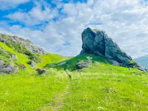 Eastern Point Trail