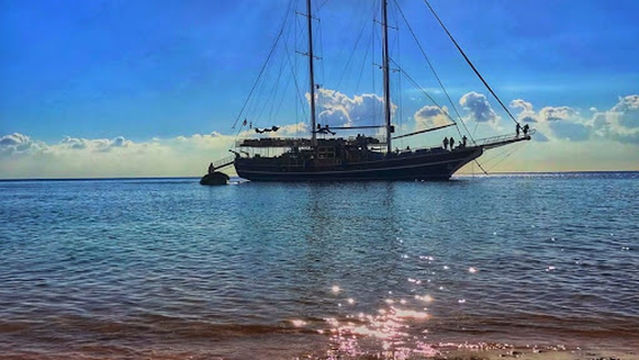 Excursions!!!!!!@Adam Sharm tour's_NabqBay