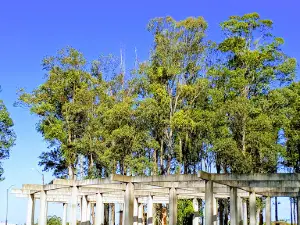Dionisio Diaz Park T Y Tres