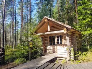 Ilumetsa kraatrite matkarada