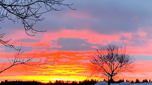 Парк Мивасин