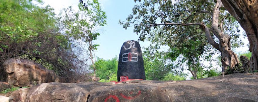 झरी झरना (jhari Dari)