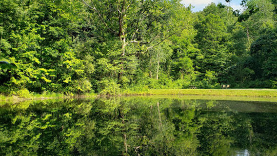 Holmesbrook Park
