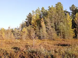 Three Lakes