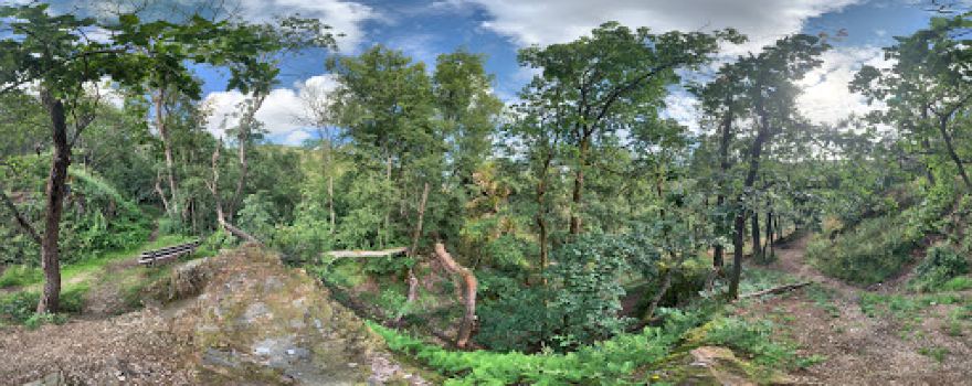 Burgruine Wildenstein