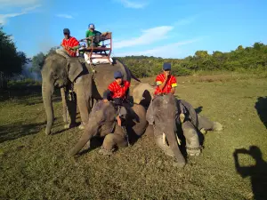 Chaungtha Elephant Camp and Resort