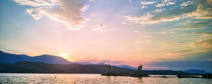 Shadybrook Resort and Marina