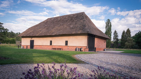 Hottentot