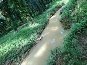 Sungai Limau