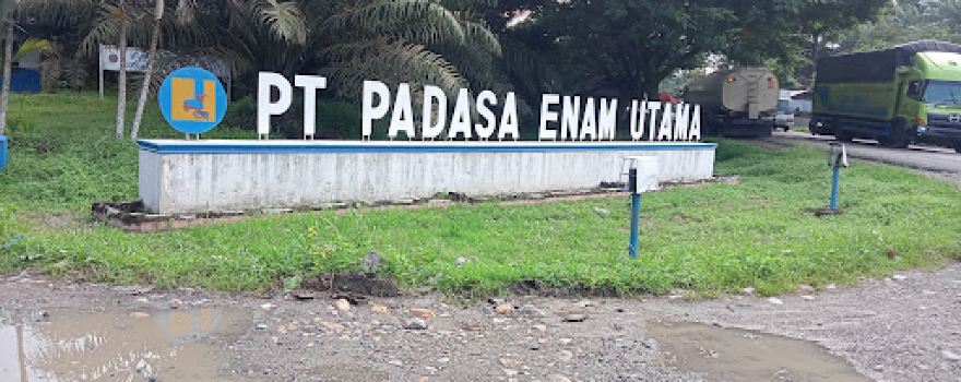 Lapangan sepakbola pt.padasa teluk dalam