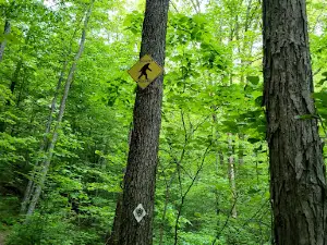 Sheltowee Trace Trail, North Terminus, Section 1