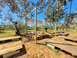 Espai Les Oliveres